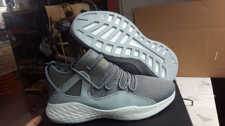 AIR JORDAN FORMULA 23 Grey Shoes